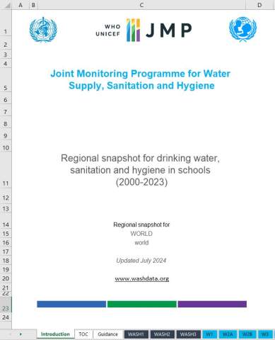 Statistical snapshots from JMP 2024 progress update on WASH in schools